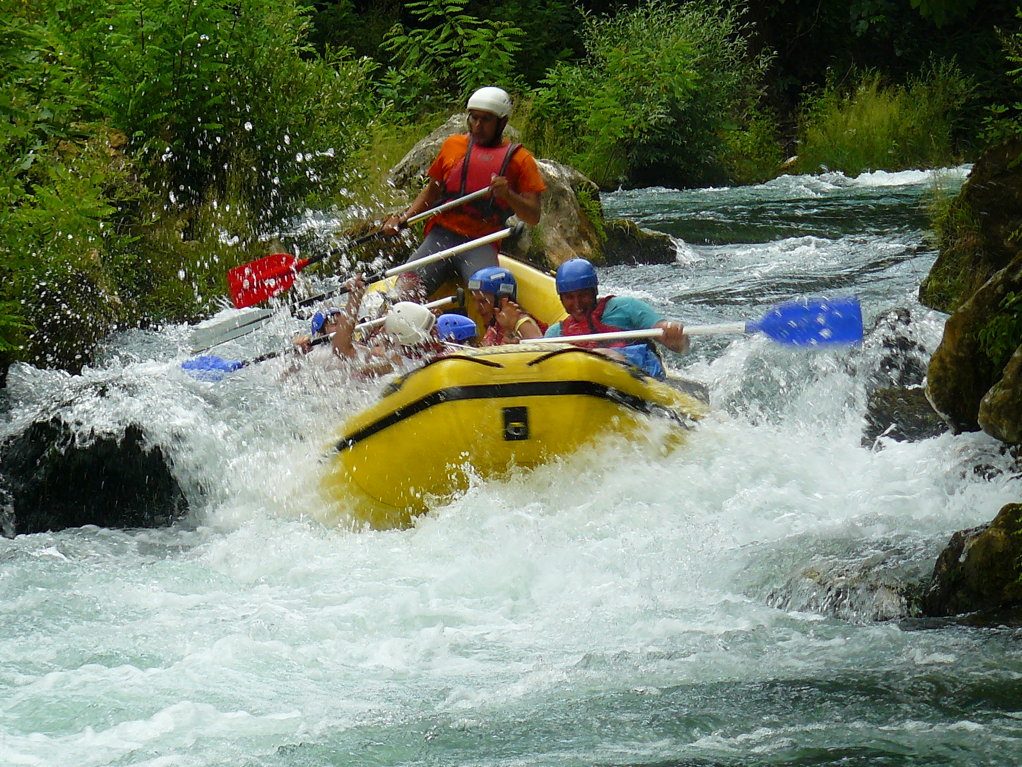 P1070353.JPG